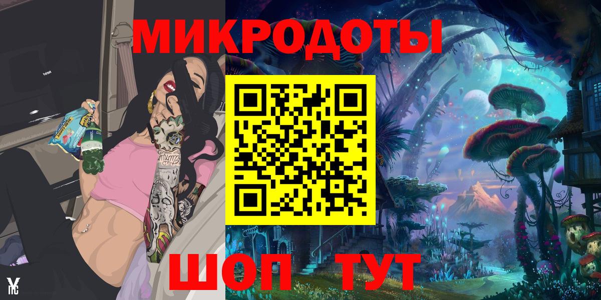 Псилоцибиновые грибы Psilocybine cubensis Саранск